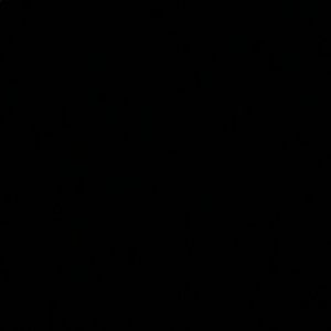 Meet your Posher, Jessie